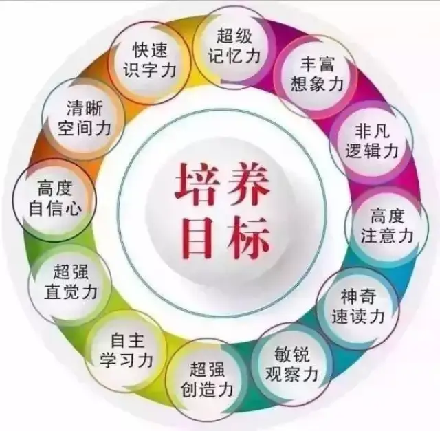 全脑开发：开启无限潜能新时代