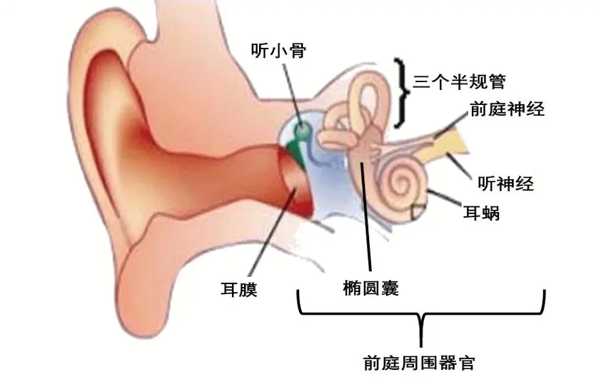 优加佳宝感统训练